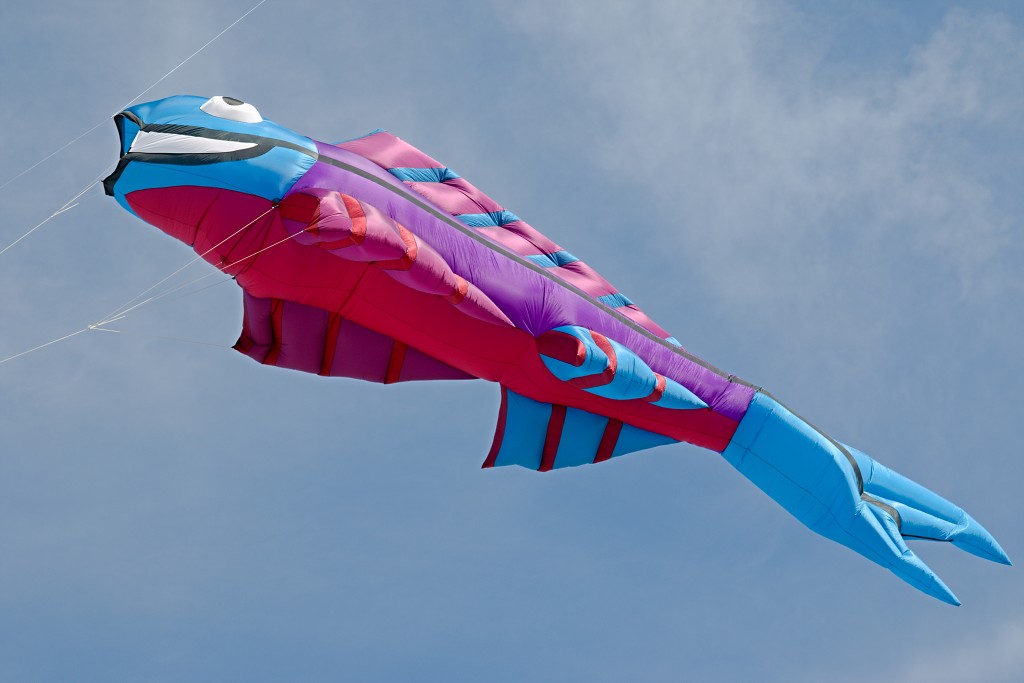 Cerfs-Volants vliegerfestival festival festiviteit evenement event berck sur mer vlieger speelgoed strand